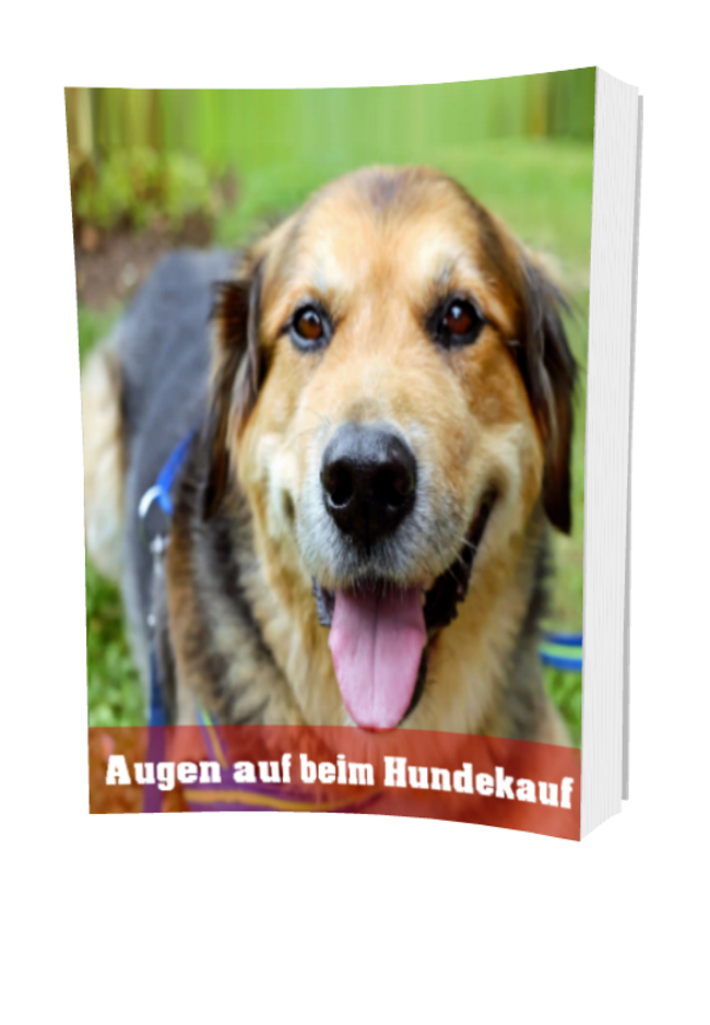 Augen auf beim Hundekauf - Kelche24